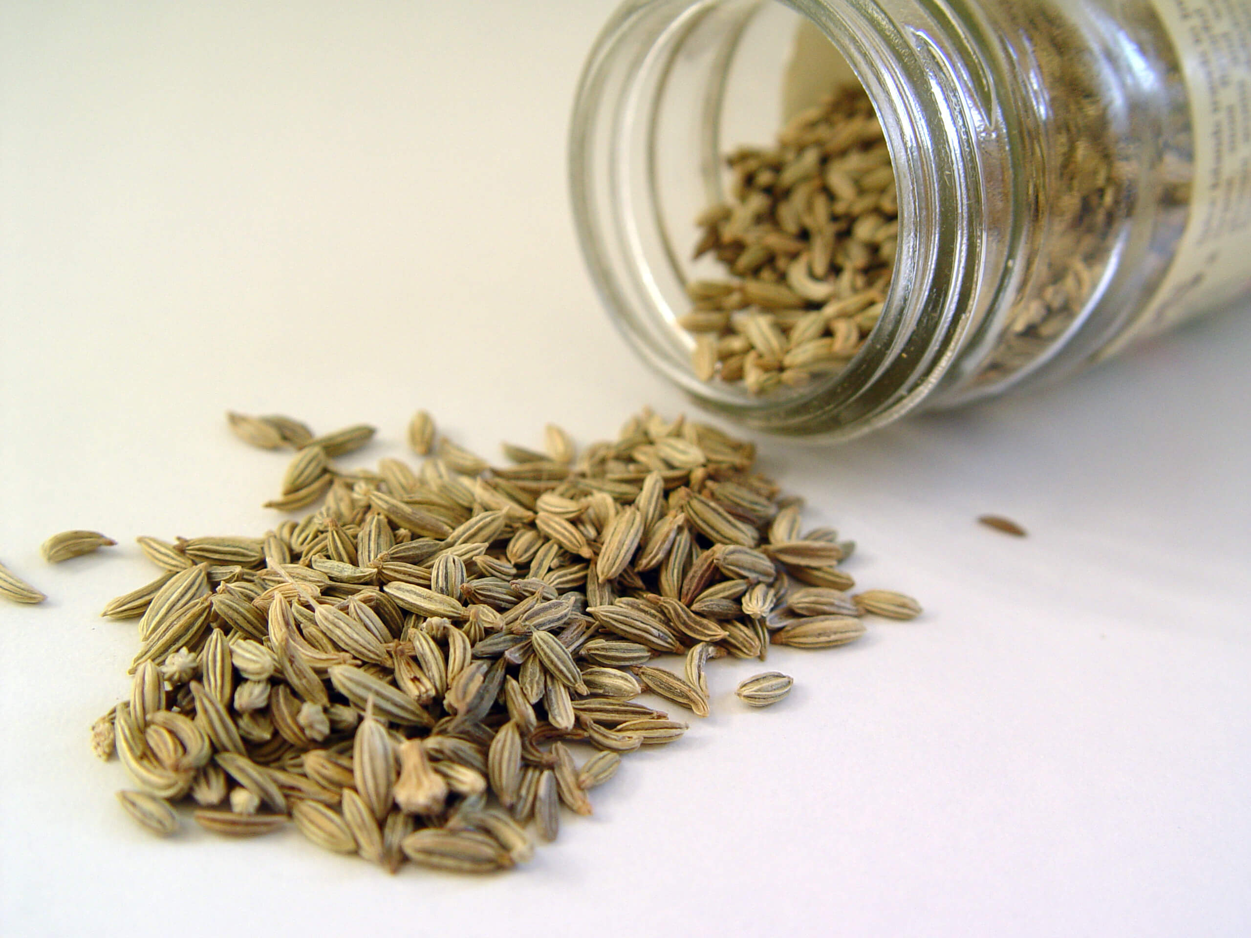 fennel seeds in egypt